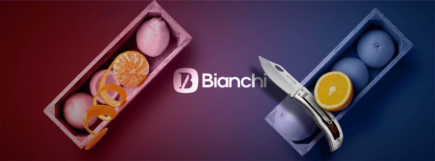 Bianchi Industria de Artigos de Cutelaria Ltda
